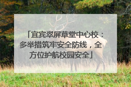 宜宾翠屏草堂中心校：多举措筑牢安全防线，全方位护航校园安全